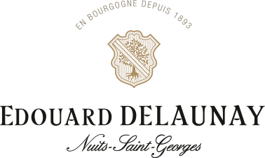 Edouard Delaunay logo