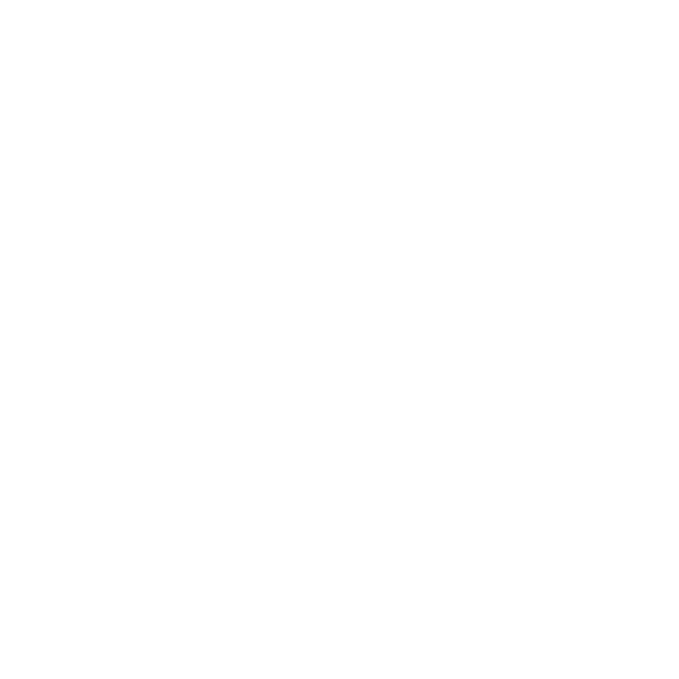 Vigneti del Salento logo